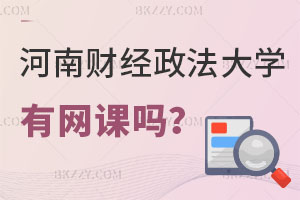 河南財經政法大學經濟學在職研究生有網課嗎？