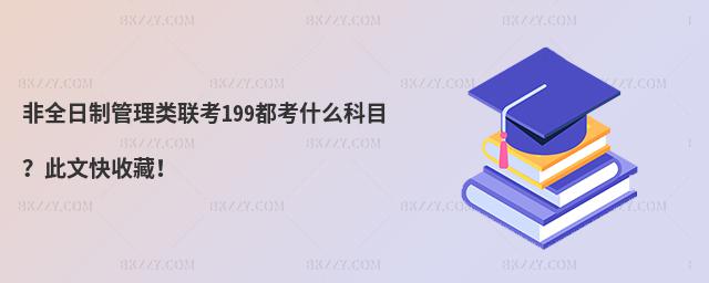 ȫƹ199ʲôĿĿղ