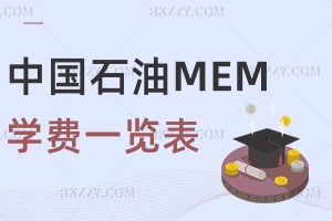 ЇʯʹW(xu)MEMW(xu)Mһ[2025꣡FFXһꣿ
